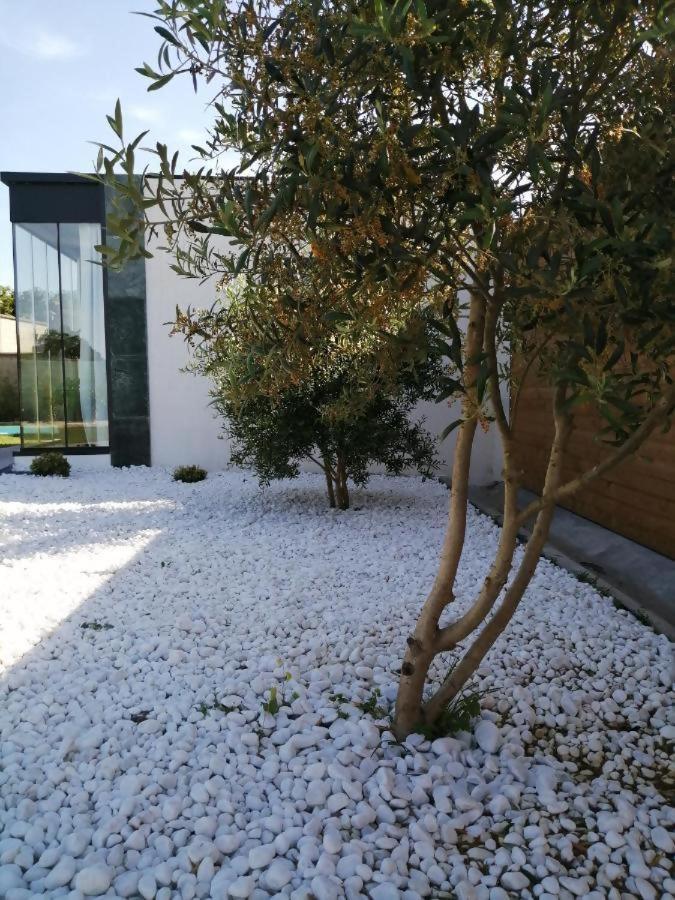 ボイロ Casa Salitreヴィラ エクステリア 写真